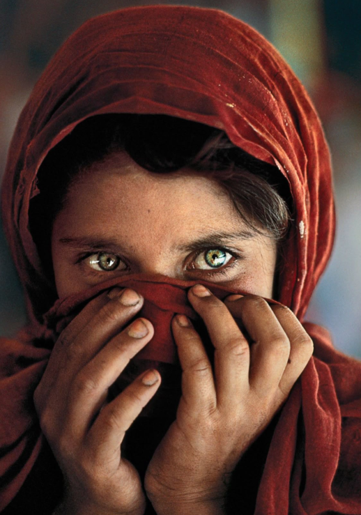 O Vermelho na Fotografia: Uma Expressão de Emoção e Intensidade 6 Captura de Tela 2025 04 27 as 22.51.04