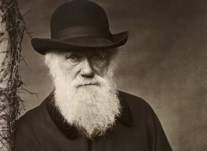 Captura de Tela 2026 03 12 as 07.49.58